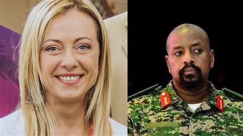 قائد القوات البرية