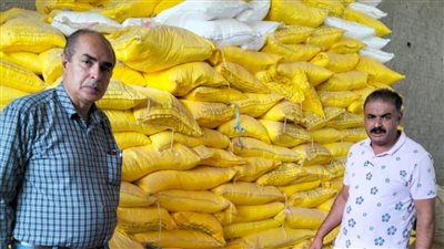 حملات تموينية بالدقهلية لضبط المخالفات 