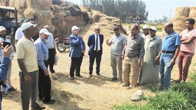 في يوم حصاد الأرز.. وفد من أكاديمية البحث العلمي يزور الحقول الإرشادية 