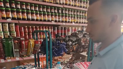 صحة الدقهلية تشن حملات مكثفة على المنشآت الغذائية وتحرر 123 محضرًا متنوعًا