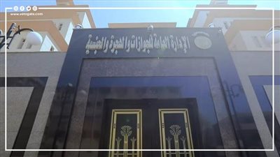 بالأسماء، الداخلية ترد الجنسية المصرية لـ 12 شخصًا 