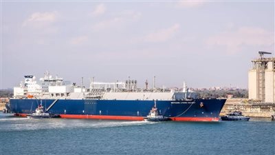 منها ناقلة الغاز المسال.. تداول ٣١ سفينة بضائع متنوعة داخل ميناء دمياط