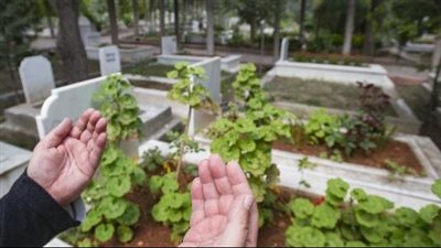 الإفتاء توضح حكم زيارة الرجال للقبور بعد صلاة العيد