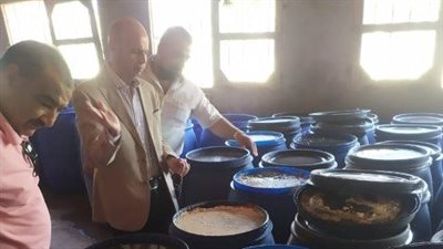 «الحشرات والدبابير» تغلق 3 مصانع للمخللات والحلويات والجبن بالشرقية|صور