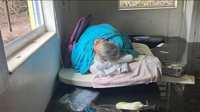 أمريكي يسبح نصف ميل في مياه الفيضانات لإنقاذ والدته 