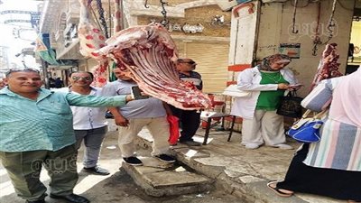 تحرير 12 محضرا وضبط لحوم مصنعة وجمبري فاسد في حملات تفتيشية بالشرقية