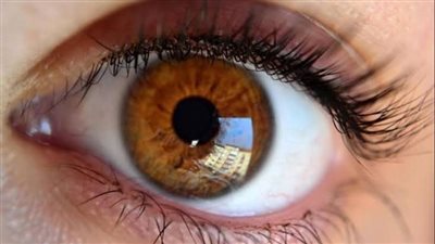هل يمكن لشبكية العين أن تكشف العمر المتبقي للإنسان؟.. طبيب يجيب 
