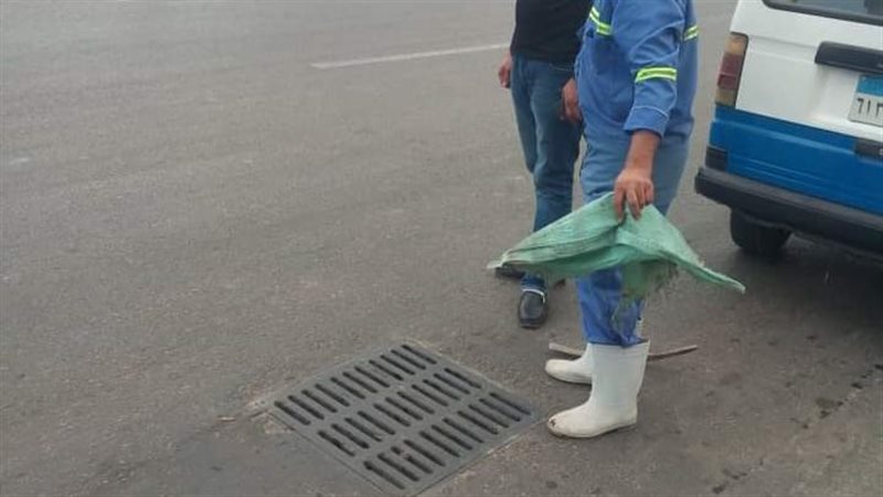 الإسكندرية