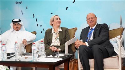 رئيس هيئة الطاقة الجديدة: نجحنا في الحفاظ على مسارات الطيور بمحطة جبل الزيت