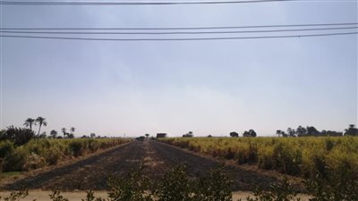 الأقصر تستعد لاستقبال موسم الأمطار 