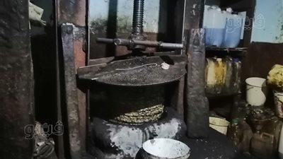 السر في التركيبة.. حكاية أقدم معصرة زيوت تعمل بالرحايا والدابة في قنا l صور