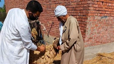 تحصين 2964 رأس أغنام وماعز في حملات بيطرية بالدقهلية