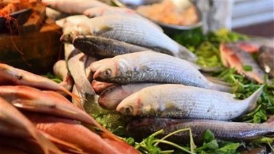الوقار بـ120 جنيها.. أسعار الأسماك اليوم الأربعاء 12-10-2022 في الدقهلية