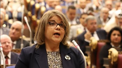 وكيل الشيوخ تطالب بتعزيز البنية التحتية لاقتناء السيارات صديقة البيئة