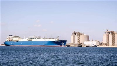أبرزها ناقلة الغاز المسال MARAN GAS EFESSOS.. تداول 30 سفينة بضائع متنوعة بميناء دمياط 