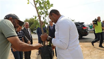 زراعة عدد من الأشجار المثمرة والزينة بمدخل مدينة سمالوط