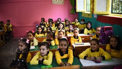 وفاة طالبة في مدرسة بالجيزة.. والتعليم تكشف التفاصيل