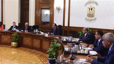 الحكومة: 2.3 مليار دولار قيمة صادرات الصناعات الغذائية حتى أغسطس 2022