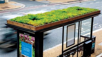 بريطانيا تحوّل محطات الحافلات إلى ملاجئ نحل