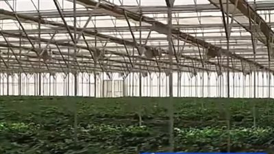 كيف تواجه مصر آثار التغيرات المناخية على القطاع الزراعي؟.. خبير مناخ يجيب | فيديو