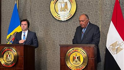 وزير الخارجية: اهتمام دولي واسع النطاق لمؤتمر المناخ في مصر