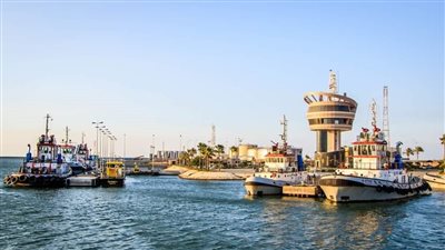 تداول 31 سفينة بضائع متنوعة داخل ميناء دمياط 