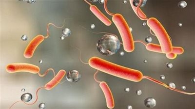 ارتفاع عدد وفيات مرضى الكوليرا لـ 10 حالات في لبنان 