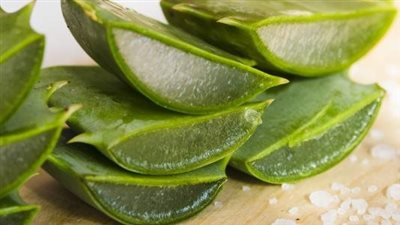 فوائد جل الصبار للبشرة.. يرطب الجلد ويعالج الحروق