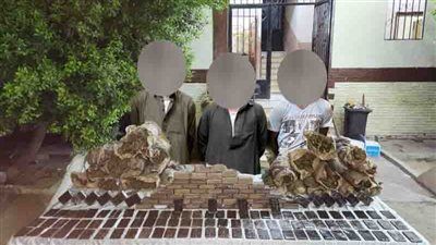 ضبط 171 كيلو بانجو وحشيش بحوزة 3 عناصر إجرامية بالسويس