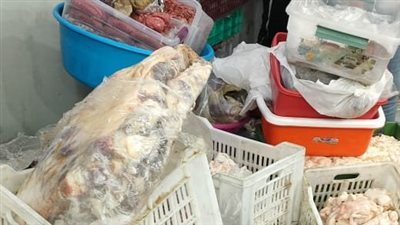 ضبط 21 طن لحوم ودواجن فاسدة في الجيزة