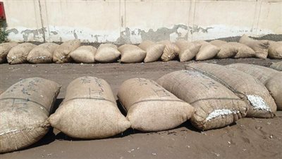 زراعة الشرقية: استمرار تلقي القطن بأماكن التجميع في المراكز 