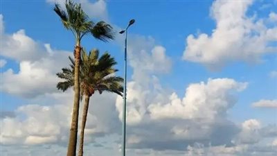 حالة الطقس غدا الخميس 03-11-2022 فى مصر