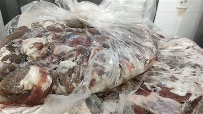 العثور على 8 أطنان لحوم وأسماك غير صالحة للاستهلاك داخل ثلاجتين ومصنع 