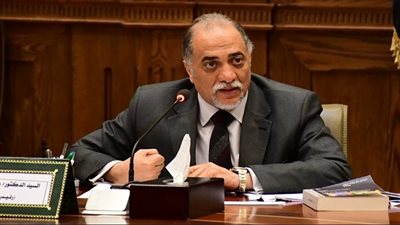 رئيس تضامن الشيوخ يكشف تفاصيل خطة العمل في دور الانعقاد الأول