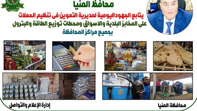 تحرير 50 مخالفة تموينية خلال حملات في المنيا