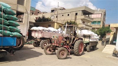 توريد 23012 طن أرز و705 كيلو لمواقع التسليم في الدقهلية | صور 