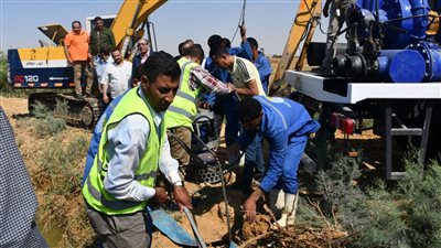 أخبار الفيوم: طلاب بالجامعة الأمريكية يزورون المناطق السياحية.. ويسرا اللوزي تدعم المدارس المجتمعية