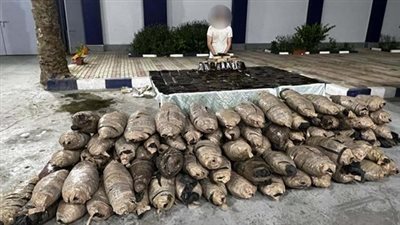 إحباط ترويج 288 كيلو لمخدرى الحشيش والبانجو في السويس 