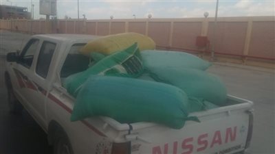 ضبط طن ونصف قمح بمحل علافة قبل بيعه بالسوق السوداء بالإسكندرية
