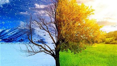 نصائح تساعدك في التغلب على اكتئاب تغيير الفصول | فيديو