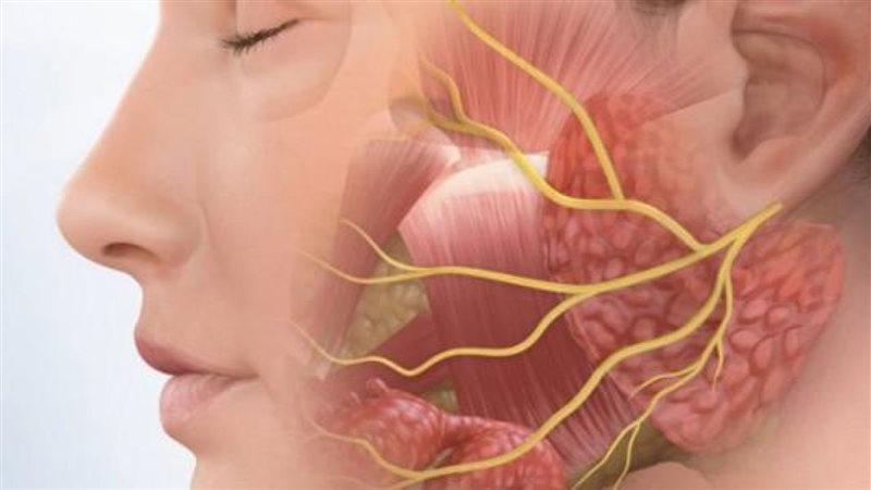 اعراض العصب الخامس