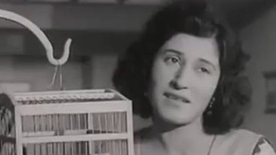 في ذكرى ميلادها.. ما لا تعرفه عن الفنانة نازك.. ولهذا السبب أطلق عليها المطربة السجينة