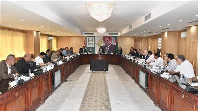 الخطة الاستراتيجية لتنمية الفيوم على مائدة المجلس الاقتصادي للمحافظة 