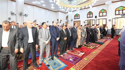  افتتاح مسجد التوحيد بقرية ميت فارس في الدقهلية | صور