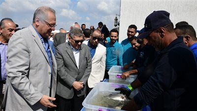 %83 نسبة الإنجاز بأعمال تطوير مزرعة قناة السويس وحصاد 71 طن جمبري| صور 