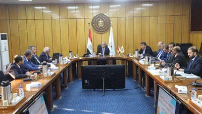 القوى العاملة: اللجنة المشتركة تواصل مراجعة اللائحة الاسترشادية لشركات قطاع الأعمال العام