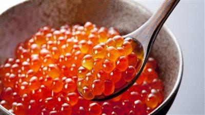 ما هي أضرار وفوائد الكافيار؟ 