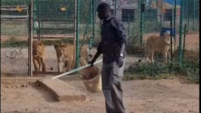 جرأة لا مثيل لها.. سوداني في عرين الأسود | فيديو
