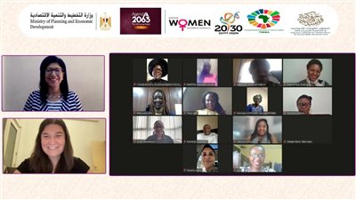 القومي للحوكمة يعقد ويبينار لخريجي المعهد من القيادات الأفريقية