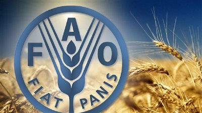 معلومات الوزراء يرصد تقرير منظمة الفاو حول توقعات أسواق الغذاء العالمية